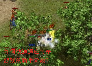 如何快速适应传奇游戏的新手阶段? 如何快速适应传奇游戏的新手阶段?