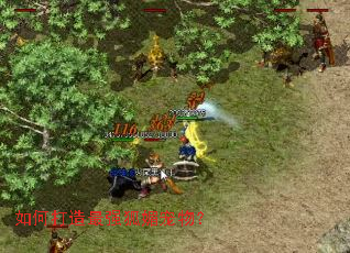 如何打造最强狐媚宠物? 如何打造最强狐媚宠物?