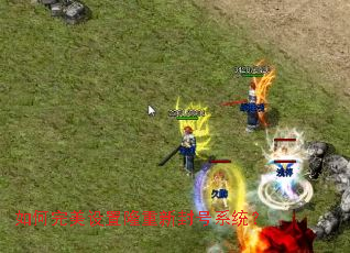 如何完美设置隆重新封号系统? 如何完美设置隆重新封号系统?