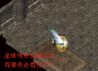 龙珠传奇私服试玩有哪些必看技巧? 龙珠传奇私服试玩有哪些必看技巧?