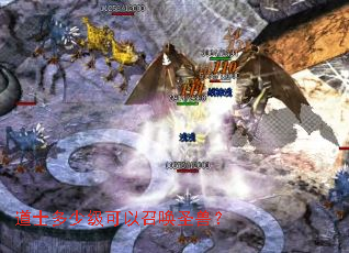 道士多少级可以召唤圣兽? 道士多少级可以召唤圣兽?