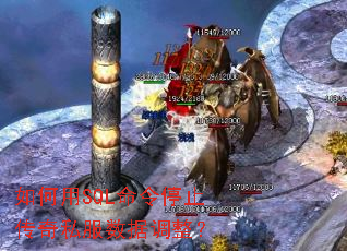 如何用SQL命令停止传奇私服数据调整? 如何用SQL命令停止传奇私服数据调整?