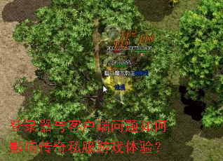 登录器与客户端问题如何影响传奇私服游戏体验? 登录器与客户端问题如何影响传奇私服游戏体验?