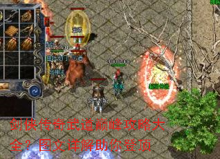 剑侠传奇武道巅峰攻略大全?图文详解助你登顶 剑侠传奇武道巅峰攻略大全?图文详解助你登顶