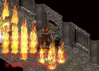 美女魔法书如何评价钢牙蜘蛛的平和表现? 美女魔法书如何评价钢牙蜘蛛的平和表现?