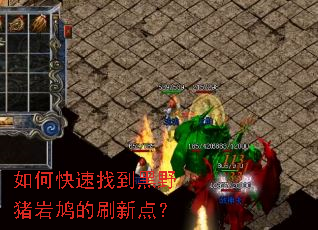 如何快速找到黑野猪岩鸠的刷新点? 如何快速找到黑野猪岩鸠的刷新点?