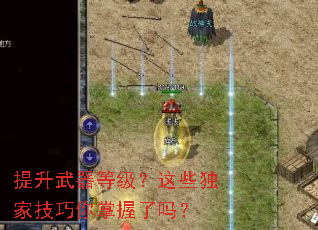 提升武器等级?这些独家技巧你掌握了吗? 提升武器等级?这些独家技巧你掌握了吗?