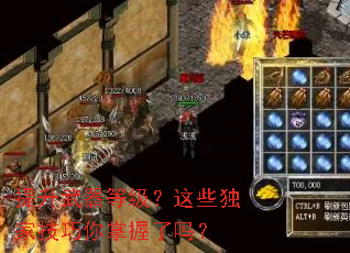 提升武器等级?这些独家技巧你掌握了吗? 提升武器等级?这些独家技巧你掌握了吗?