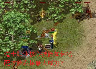 道士职业核心技能如何搭配才能发挥最大威力? 道士职业核心技能如何搭配才能发挥最大威力?