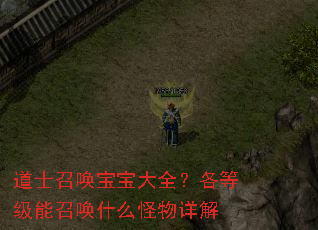 ��ʿ�ٻ�������ȫ�����ȼ����ٻ�ʲô�������