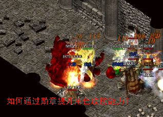 ���ͨ��ѫ��������ɫ����������