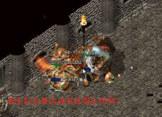 ��ʿְҵ���ʺ���ս��Щ���