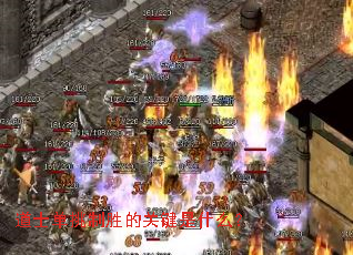 ��ʿ������ʤ�Ĺؼ���ʲô��