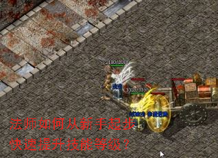 ��ʦ��δ������𲽿����������ܵȼ���