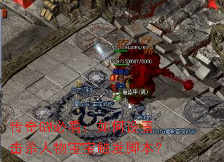 ����GM�ؿ���������û�ɱ���ﱦ�������ű���