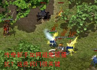 ����������α��ⱻɧ�ţ���Щ���źܹؼ�