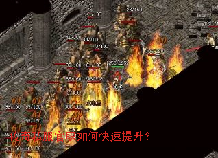 ����˽����ְ��ο���������