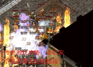 ������Ϸ���ԣ�����Ҳ�Ը͸¶����ʤ�ؼ���