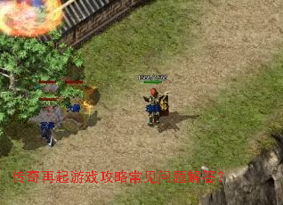 ����������Ϸ���Գ���������