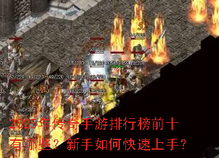 2025�괫���������а�ǰʮ����Щ��������ο������֣�