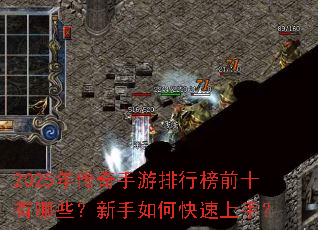 2025�괫���������а�ǰʮ����Щ��������ο������֣�