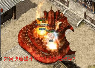 ��ο���������ѩ������Ч�ʣ�