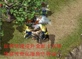 ��ο�������ȫ��ʮ���µؿߴ���˽����ɫ�ȼ���