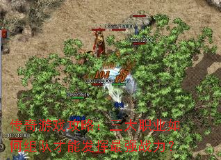 ������Ϸ���ԣ�����ְҵ�����Ӳ��ܷ�����ǿս����