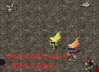 ������������ȷ���ף�����Щע�����