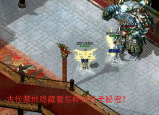 �Ŵ����������������ľ������ܣ�