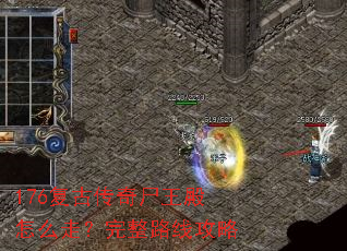 176���Ŵ���ʬ������ô�ߣ�����·�߹���