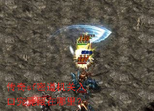 ����sf�ܵ�������ھ����������