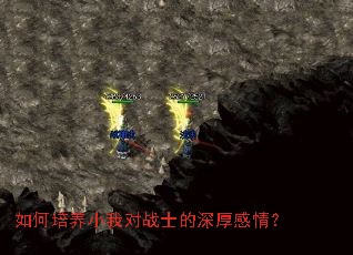 �������С�Ҷ�սʿ�������飿