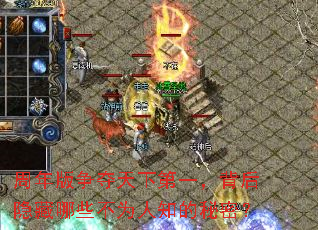 ������������µ�һ������������Щ��Ϊ��֪�����ܣ�