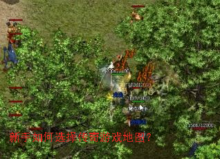 新手如何选择传奇游戏地图? 新手如何选择传奇游戏地图?