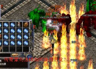 �������ʦ��ο��ٽ�����