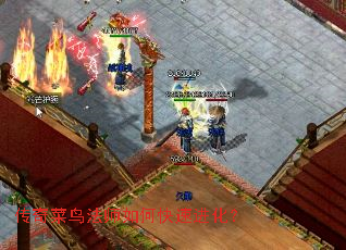 �������ʦ��ο��ٽ�����