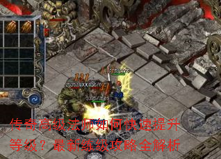 ����߼���ʦ��ο��������ȼ���������������ȫ����