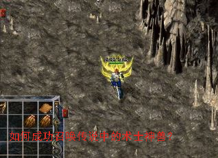 ��γɹ��ٻ���˵�е���ʿ���ޣ�