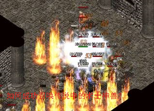 ��γɹ��ٻ���˵�е���ʿ���ޣ�