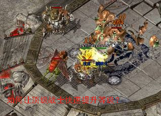 如何让顶级战士快速提升等级? 如何让顶级战士快速提升等级?