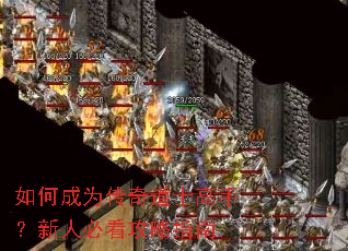 如何成为传奇道士高手?新人必看攻略指南 如何成为传奇道士高手?新人必看攻略指南