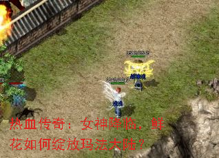 热血传奇:女神降临,鲜花如何绽放玛法大陆? 热血传奇:女神降临,鲜花如何绽放玛法大陆?