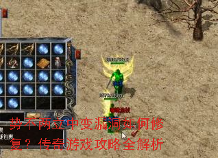 �Ʋ������б�©������޸���������Ϸ����ȫ����