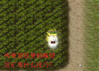 ������Ϸ�������ڿ���ʲô���ɣ�