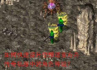 如何快速提升空想诺亚方舟传奇私服中的角色等级? 如何快速提升空想诺亚方舟传奇私服中的角色等级?