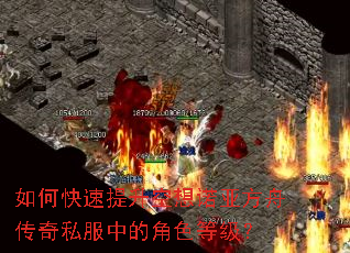 如何快速提升空想诺亚方舟传奇私服中的角色等级? 如何快速提升空想诺亚方舟传奇私服中的角色等级?