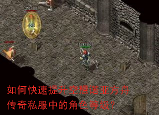 如何快速提升空想诺亚方舟传奇私服中的角色等级? 如何快速提升空想诺亚方舟传奇私服中的角色等级?
