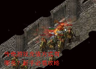 ������Ϸ��ֵ��ʽ����Щ�����ֱؿ�����