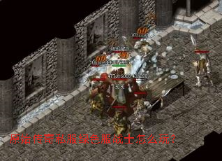 ԭʼ����˽����ɫ��սʿ��ô�棿